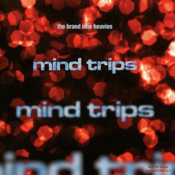 The Brand New Heavies- Mind Trips Maxi CD Single (PLATURN)