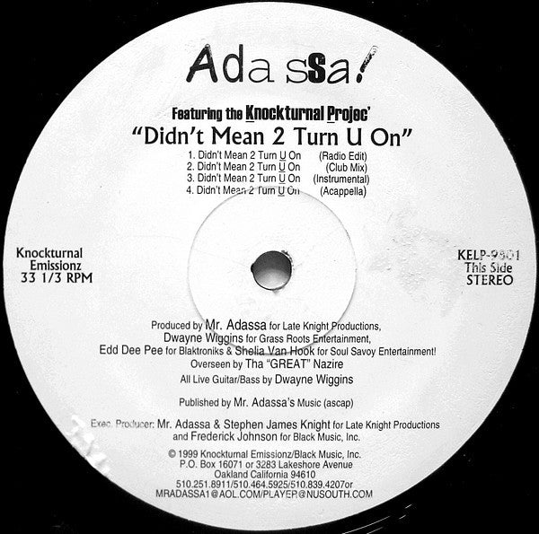 Adassa – Didn't Mean 2 Turn U On