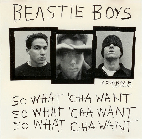 Beastie Boys ‎– So What'cha Want (PLATURN)