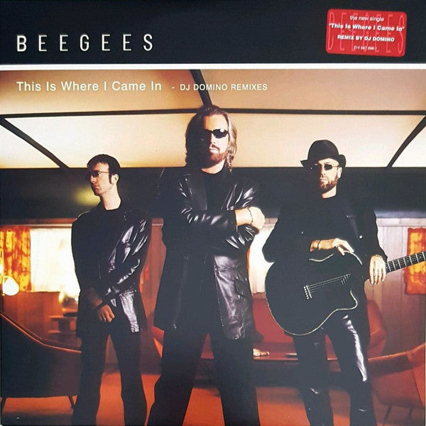 Bee Gees – This Is Where I Came In (DJ Domino Remixes)