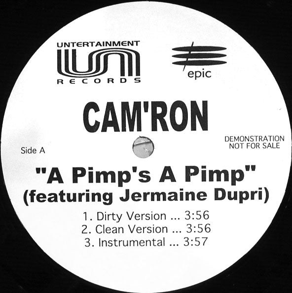 Cam'ron – A Pimp's A Pimp