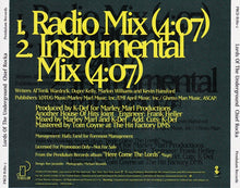 Load image into Gallery viewer, Lords of The Underground- Chief Rocka CD Promo Single (PLATURN)
