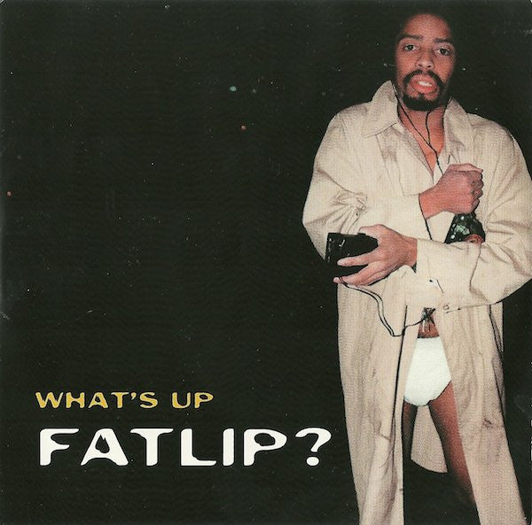 Fatlip* ‎– What's Up Fatlip? (PLATURN)
