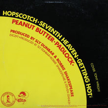 Load image into Gallery viewer, Larry Levan Featuring Sly Dunbar, Robbie Shakespeare, Gwen Guthrie, Wally Badarou, Darryl Thompson* – Padlock (Special Mixes)
