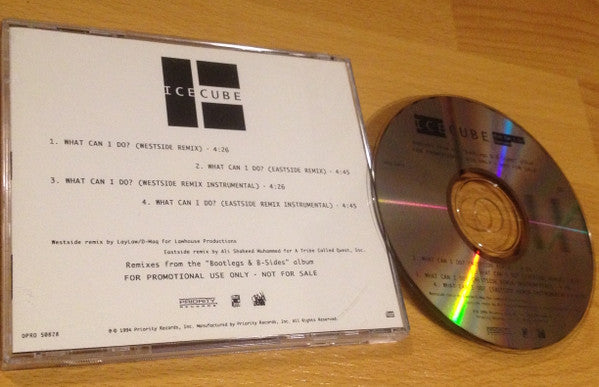 Ice Cube ‎– What Can I Do? (Remixes) (PLATURN)