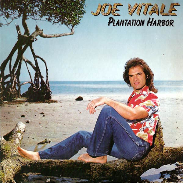 Joe Vitale – Plantation Harbor