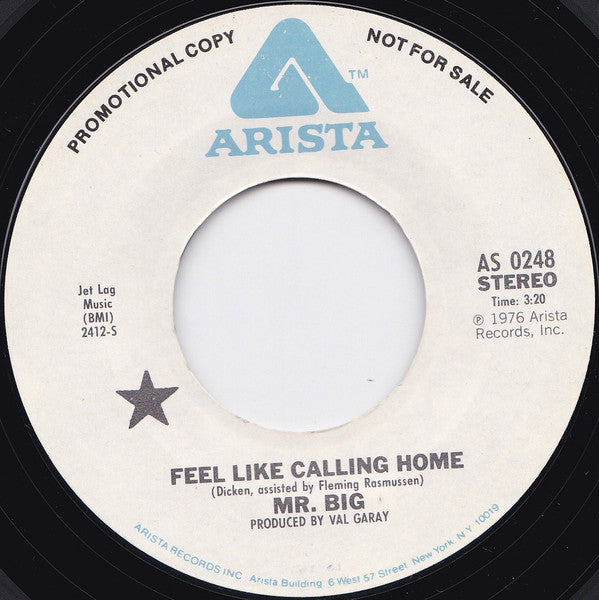 Mr Big – Feel Like Calling Home