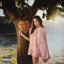 Load image into Gallery viewer, Olivia Rodrigo- You Seem Pretty Sad for A Girl So In Love 12" Vinyl, LP, Album, Pink [Pretty Sad], Alternate Cover
