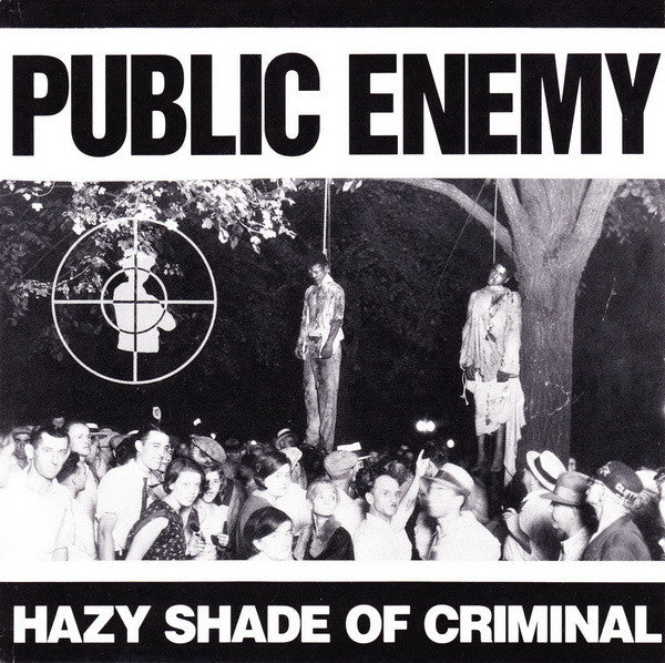 Public Enemy – Hazy Shade Of Criminal (PLATURN)