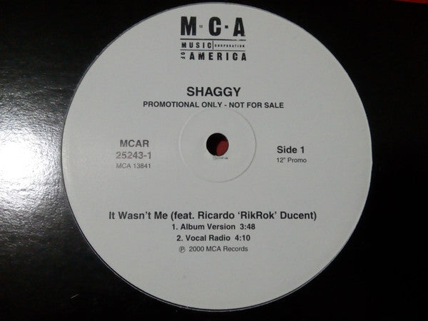 Shaggy – It Wasn't Me