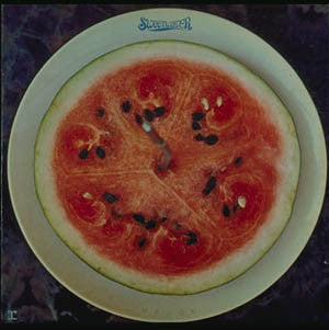 Sweetwater – Melon