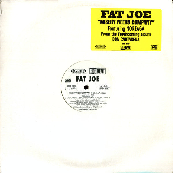 Fat Joe – Misery Needs Company
