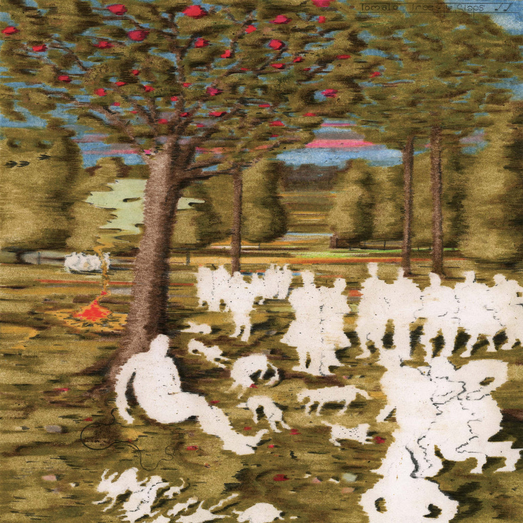 The Slaps- Tomato Tree 12