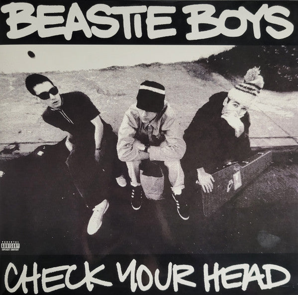 Beastie Boys Check Your Head 2 x 12