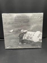 Load image into Gallery viewer, DJ Platurn - Breaking the Ice (CD)
