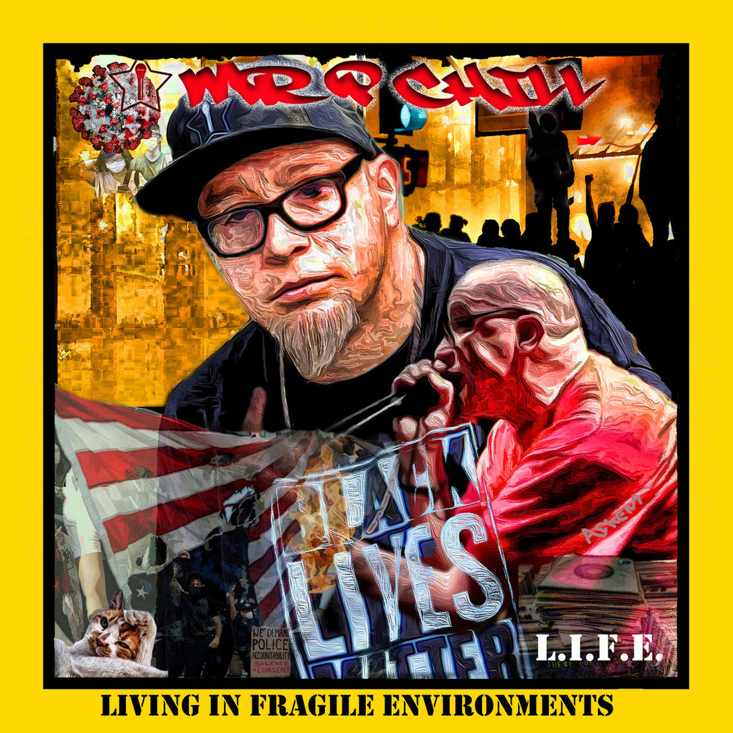 Mr. P Chill - Living In Fragile Environments