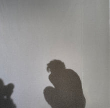Load image into Gallery viewer, Harry Styles - Harry&#39;s House
