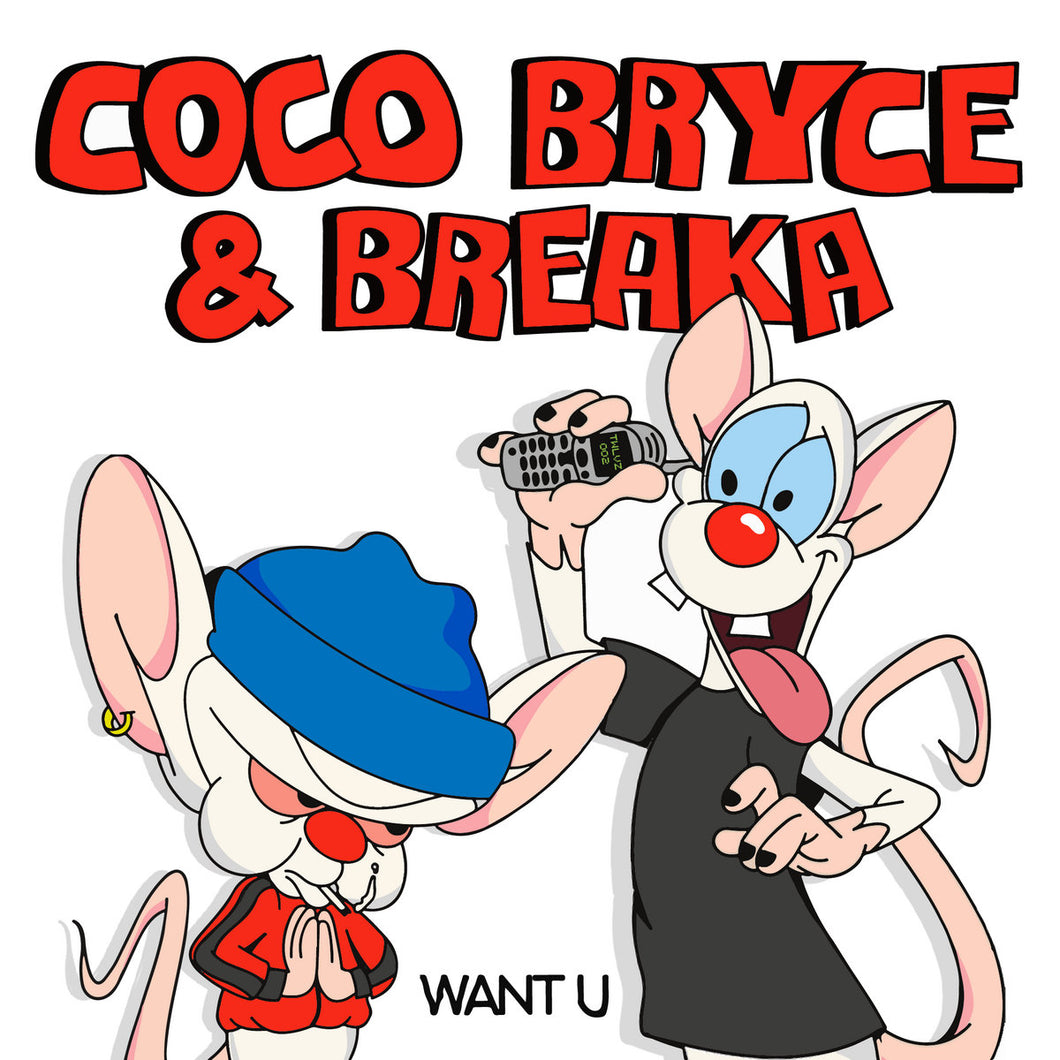 Coco Bryce & Breaka - Want U
