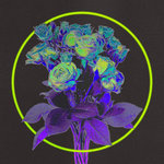 Load image into Gallery viewer, Shall Not Fade SNF061 Baltra Dreaming of a Disco EP
